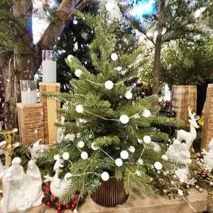 [텐바이텐]화이트 미니 전구 트리 세트 크리스마스 소품