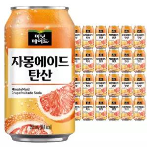 미닛메이드 자몽에이드 탄산 355ml 24캔