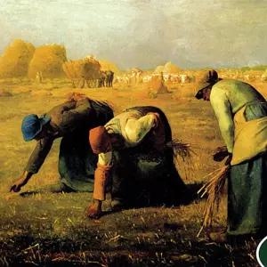 1000피스 밀레의 이삭줍기 직소퍼즐 PL1285/판퍼즐/직소퍼즐1000/퍼즐1000/명화퍼즐/퍼즐1000피스/1000퍼즐