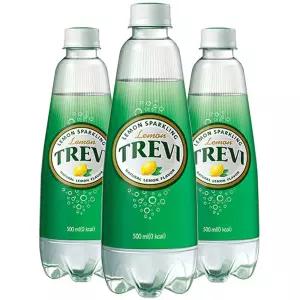 롯데 트레비 레몬 500ml x 24PET