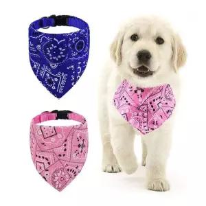 에코벨 강아지 삼각 스카프 버클 S/애완 고양이 목걸이