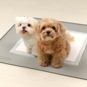 펫토리아 안밀려 논슬립 강아지 패드 미끄럼방지 배변판매트 실리콘 배변매트 대형