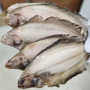 풍요로운바다 국내산 반건조 가자미 5미 자연해풍