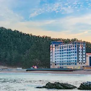 영덕 시포트리조트 펜션&풀빌라