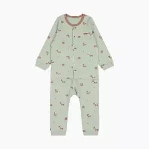 HC11 토모 내의 HZ510314 (30490070)