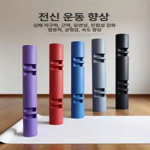 바이퍼 vipr 재활 퍼포먼스 전신운동 유산소 피티샵 헬스장 소도구