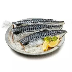 [NS홈쇼핑]순살 죽염 이동삼 안동간고등어 120g x 20팩[35358940]