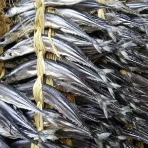 웰빙미래 통과메기 통꽁치과메기 꽁치역거리 반건조꽁치20마리 한두름 머리꼬리내장그대로건조함