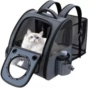 버블 캣 백팩 캐리어 확장형 중형 고양이용 통기성 반려동물 고양이와 작은 강아지 넓은 공간 여행용