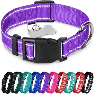 테세움 반사견 목걸이 u2013 퍼플 M 베이직 나일론 애완동물 퀵 릴리스 버클 소형견 중대형견 강아지
