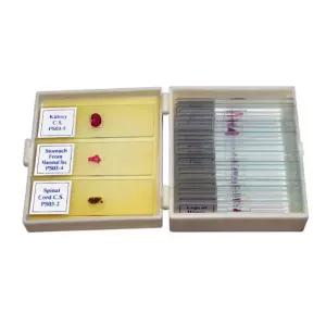 상급 중등 교과서 생물표본 프레파라트 현미경 초등 자연 관찰