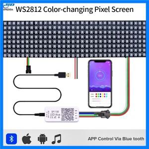WS2812B 매트릭스 스크린 개별적으로 주소 지정이 가능한 LED 패널(4×12 8×8 16×16 8×32 픽셀 라이트