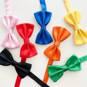 가디언블루  나비넥타이 WE60492