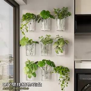 감성 인테리어 액자 빈티지 화분 디자인 꽃병 포인터 거실 벽걸이 장 투명 수경재배