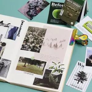 그린 북 스티커 데코 50매 (WFKB3YK)