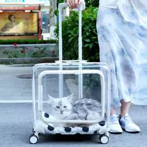 반려동물 이동가방 고양이 켄넬 강아지 애견