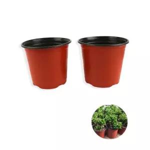 중형 원형 화분 식물 기르는 원예 소품 정원