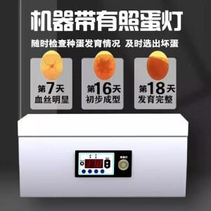 닭걀 달걀인큐베이터 단일 계란부화기 앵무새 자동부화기 부화기 최신형 계란 조류 24개