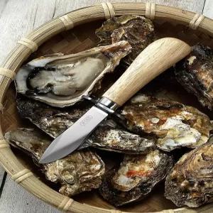 올원픽 굴까는도구 굴 도구 조개칼 조개 고급 굴칼