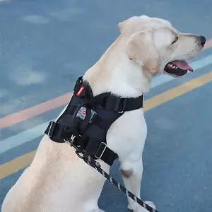 중대형견 야간 LED 손잡이형 탄탄 하네스 2종 리드줄중형 애가슴 고양이 강아지 펫용품 튼튼한 외출