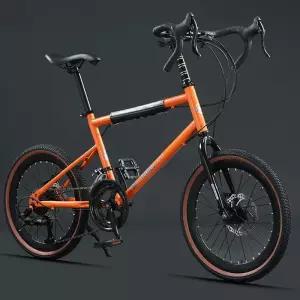 미니스프린터 성인 경량 입문 자전거 바이크