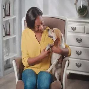 애견 손톱 깎이 트리머강아지발톱깎이 애완견깎이 개깎이 손질 네일커터 네일 커터기