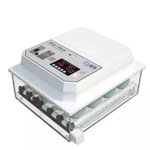 미니 기본 자동 조류 단품 계란부화기 병아리 부화기