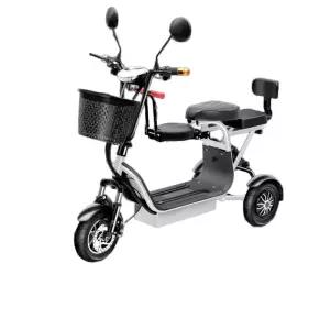 세발 전기 자전거 어르신 스쿠터 경량 자토바이 모터 여성 전기세발자전거 삼륜 소형