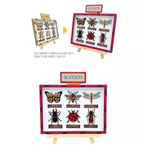 어린이목공예 곤충배우기 표본 상자 만들기(이젤 포함) 학습능력 공공기관