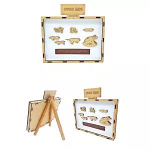 초등어린이 생물학습용 개구리의 한살이 만들기(이젤 포함) 미래교육 관찰