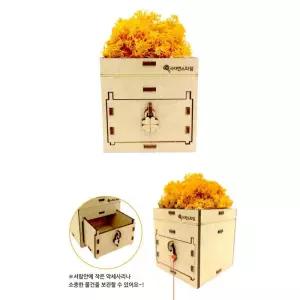 조립키트 반려식물키우기 스칸디아모스 서랍화분 만들기 관찰일지 자연관찰