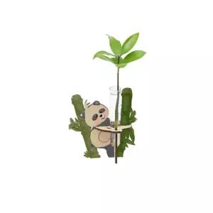 5인세트 초등 돌봄교실 어린이 식물키우기 팬더 수경재배기르기 자연과학