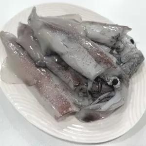 제철 활 한치 횟감 한치회 1kg