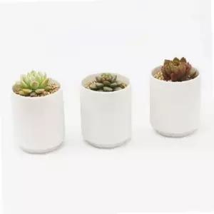 다육이도자기화분 다육이 백토세라믹화분 반려식물 백토