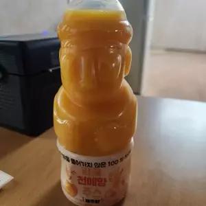 100% NFC 착즙주스 제주 감귤 천혜향 330ml 8개