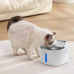 길고양이 겨울 물그릇 보온 얼지않는 물통 강아지 반려견