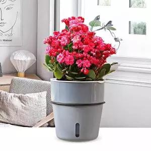 자동급수 화분 13cm 가정용 식물 관리 자동물주기 정원용