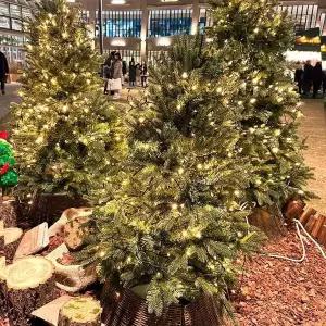 100구 VLM143Q3 녹색선 LED 지니전구 10M 점멸 웜색 트리전구