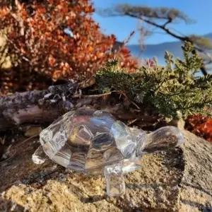 생기 GCV262I6 재물운 돈거북 영롱한 개업선물 투명 거북이 풍