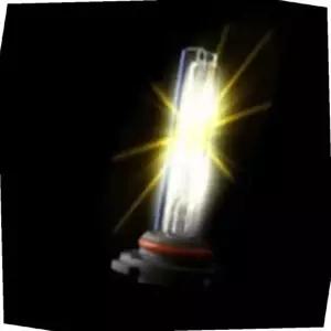 스포티지R 순정 벌브 2개1세트 시야확보 HID 차량용