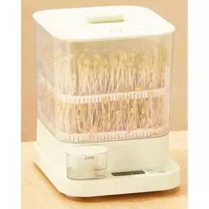 콩나물 재배기 콩나물시루 투명 집에서 콩나물키우기