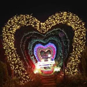 5m LTB168Z6 라인 전구 트리불빛 트리꾸미기 컬러전구 led조명