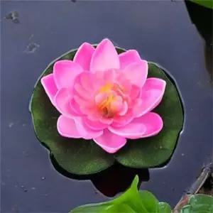 조화 연꽃 장식 행사용 부케 자주색 수조 꾸미기 수생식물 (WFKI004)