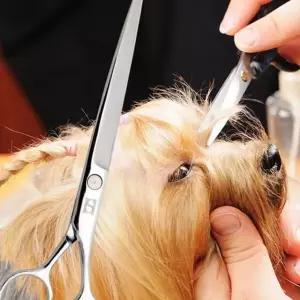 강아지 고양이 수제품 미용 이발가위 민가위 7in치