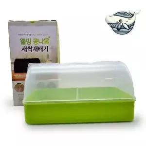 편리한 새싹 재배기 사각형 콩나물 배양기