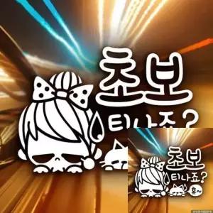 자동차 운전 초보 표시 스티커 안전 반사 시트지 차용 초보운전 (WFKKYAE)