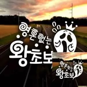 자동차 스티커 초보 운전 안전 반사 시트지 차량 용품 (WFKKYG5)