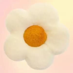 꽃방석 쇼파쿠션 등쿠션 인테리어 침대헤드 의자 방석 (WFKKUCD)