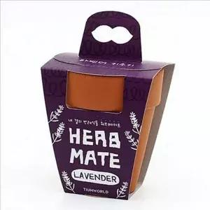 [알티피아]라벤더 재배 허브 화분 식물 기르기 용품 새싹