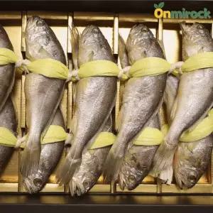 온미락 영광 법성포 참굴비 10미 20미 국내산 참조기 제수용 가정용 선물용